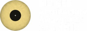 Big See Architecture Award 2025 Logo